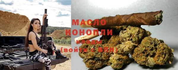 амф Медногорск