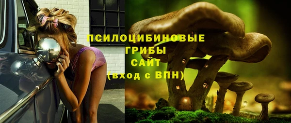 прущая мука Мегион