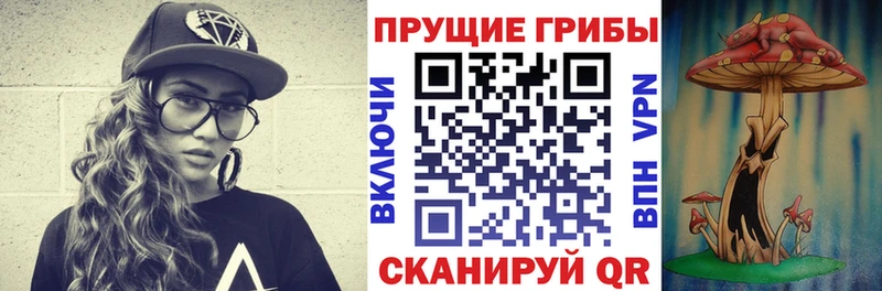Галлюциногенные грибы MAGIC MUSHROOMS  Купить где  Малая Вишера 